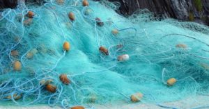 Bahrain to Strengthen Commitment to Environmental Causes by Banning Plastic Fishing