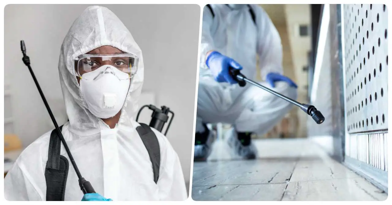 20 Best Pest Control Services in Bahrain